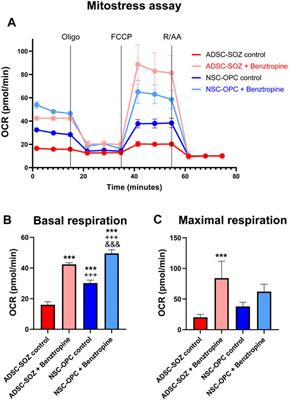 Oligodendroglia Generated From Adult Rat Adipose Tissue by Direct Cell Conversion